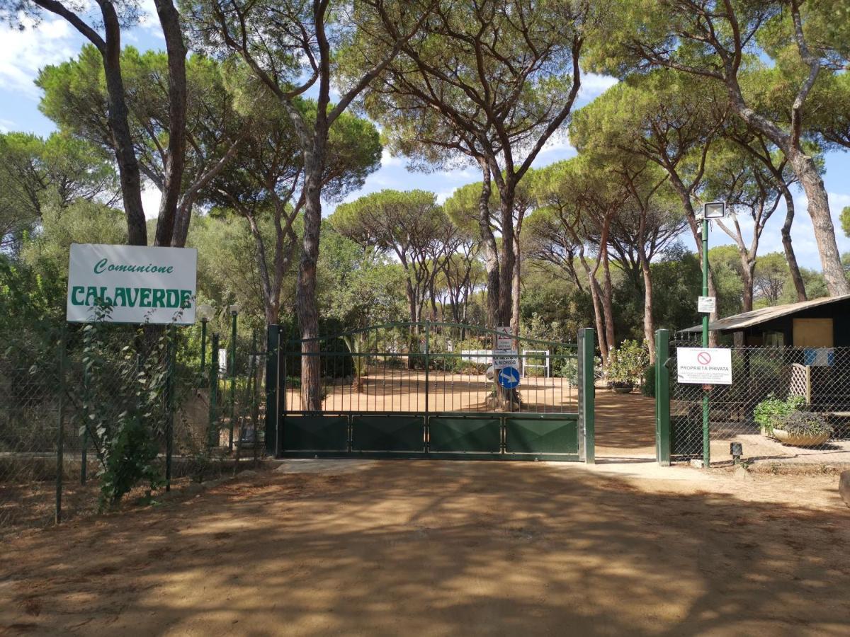 Deliziosa Villetta Sul Mare Appena Ristrutturata Pula Kültér fotó
